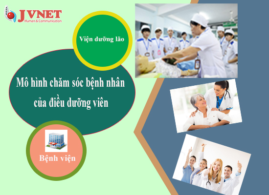 công việc của điều dưỡng viên