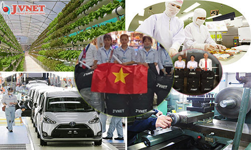 đơn hàng kỹ năng đặc định