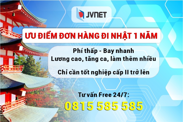 ưu điểm đơn hàng 1 năm