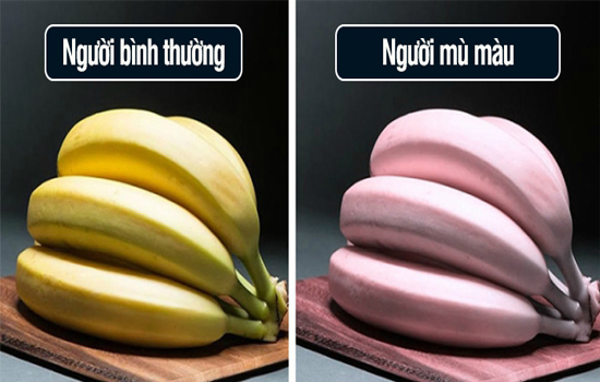 bị mù màu có đi Nhật được không