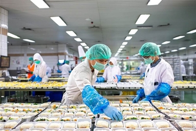 Tuyển 10 Nữ làm cơm hộp tại Chiba – 19.5 man/tháng